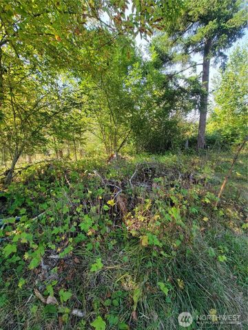 31208 Lebor Devore Road E, Eatonville, WA 98328