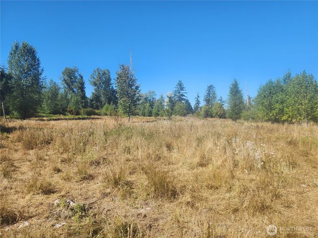 31208 Lebor Devore Road E, Eatonville, WA 98328