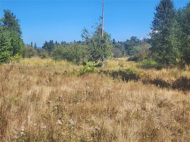 31208 Lebor Devore Road E, Eatonville, WA 98328