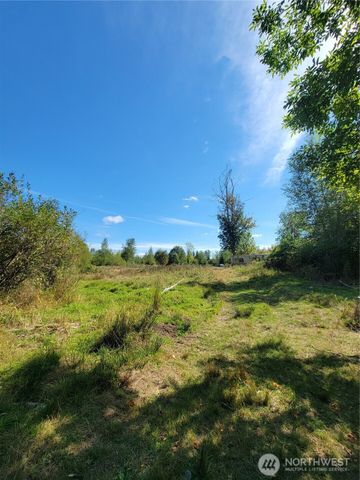 31208 Lebor Devore Road E, Eatonville, WA 98328