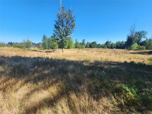 31208 Lebor Devore Road E, Eatonville, WA 98328