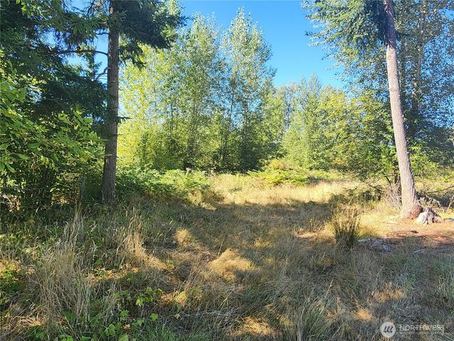31208 Lebor Devore Road E, Eatonville, WA 98328