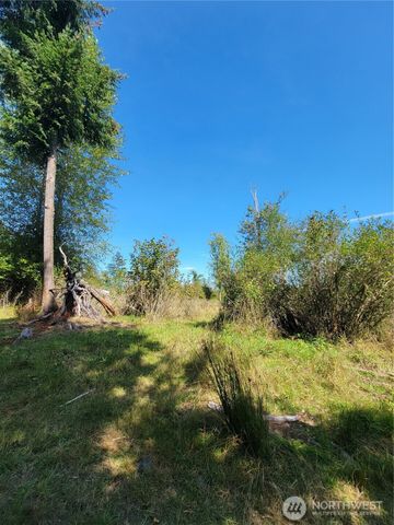 31208 Lebor Devore Road E, Eatonville, WA 98328