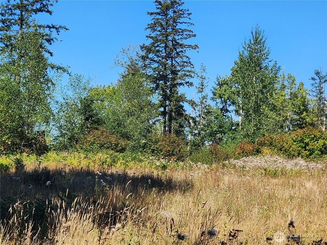 31208 Lebor Devore Road E, Eatonville, WA 98328