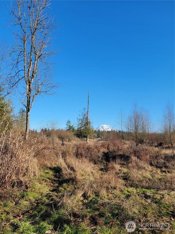 31208 Lebor Devore Road E, Eatonville, WA 98328