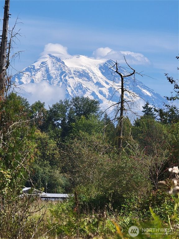 31208 Lebor Devore Road E, Eatonville, WA 98328