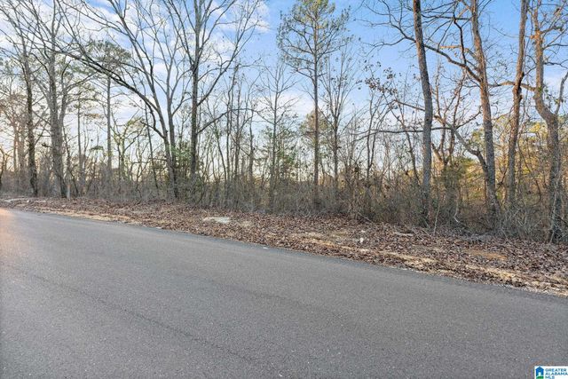 27 MOUNTAIN VIEW LANE, Vance, AL 35490