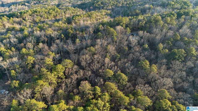 27 MOUNTAIN VIEW LANE, Vance, AL 35490