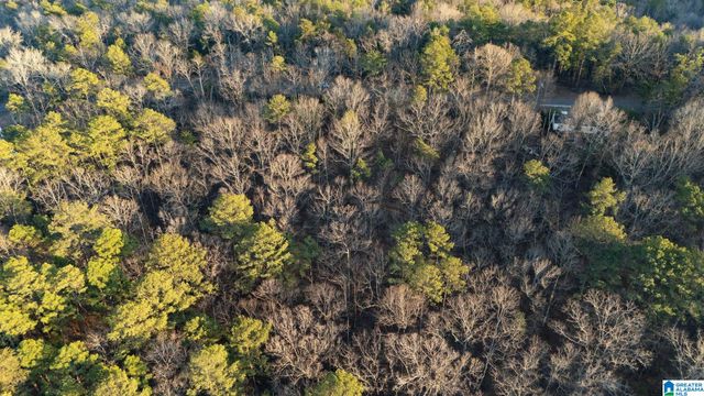 27 MOUNTAIN VIEW LANE, Vance, AL 35490