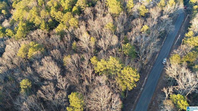 27 MOUNTAIN VIEW LANE, Vance, AL 35490