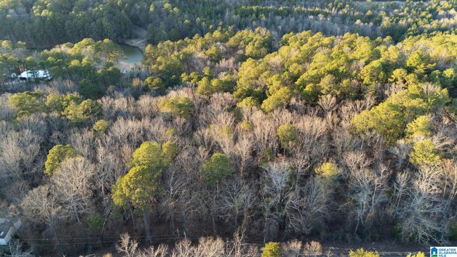 27 MOUNTAIN VIEW LANE, Vance, AL 35490