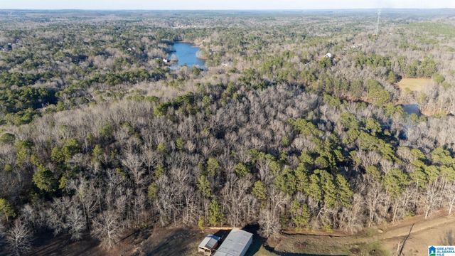 27 MOUNTAIN VIEW LANE, Vance, AL 35490