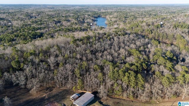 27 MOUNTAIN VIEW LANE, Vance, AL 35490