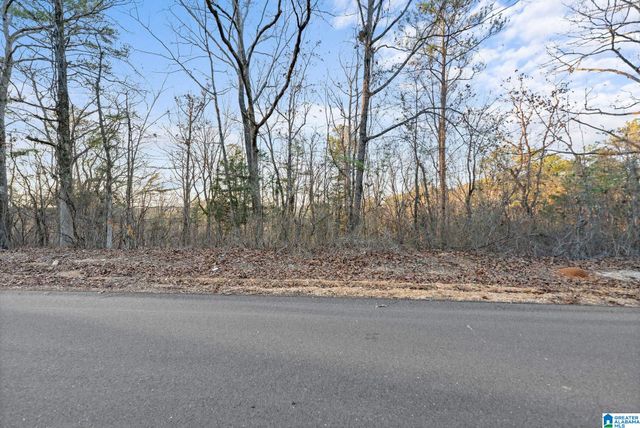 27 MOUNTAIN VIEW LANE, Vance, AL 35490