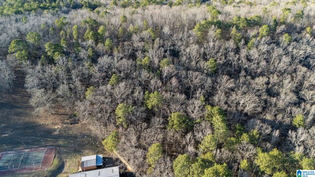 27 MOUNTAIN VIEW LANE, Vance, AL 35490