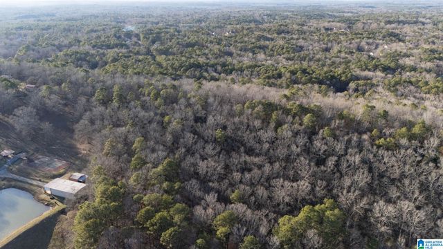 27 MOUNTAIN VIEW LANE, Vance, AL 35490