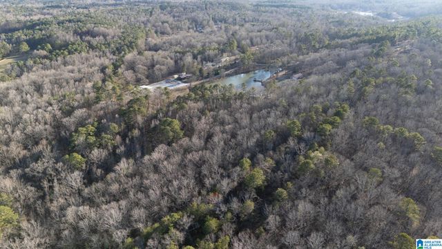 27 MOUNTAIN VIEW LANE, Vance, AL 35490