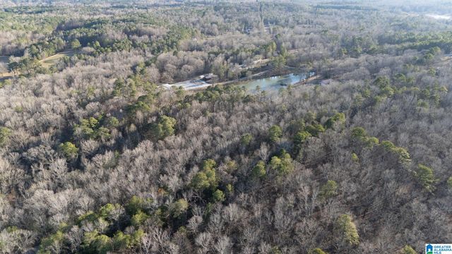 27 MOUNTAIN VIEW LANE, Vance, AL 35490