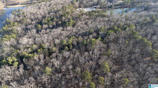 27 MOUNTAIN VIEW LANE, Vance, AL 35490