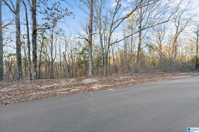 27 MOUNTAIN VIEW LANE, Vance, AL 35490