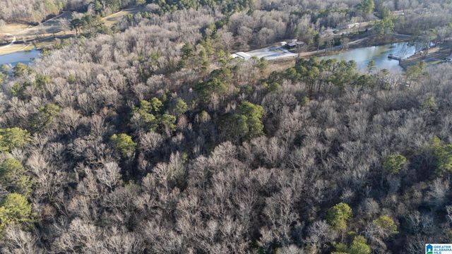 27 MOUNTAIN VIEW LANE, Vance, AL 35490