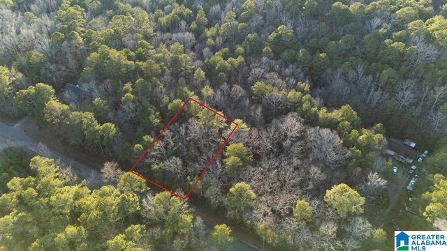 27 MOUNTAIN VIEW LANE, Vance, AL 35490