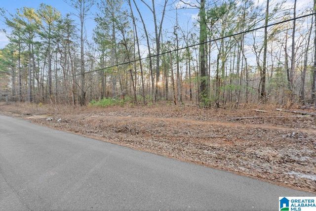 27 MOUNTAIN VIEW LANE, Vance, AL 35490