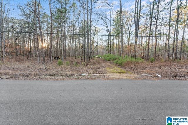 27 MOUNTAIN VIEW LANE, Vance, AL 35490