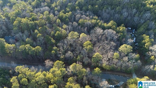 27 MOUNTAIN VIEW LANE, Vance, AL 35490