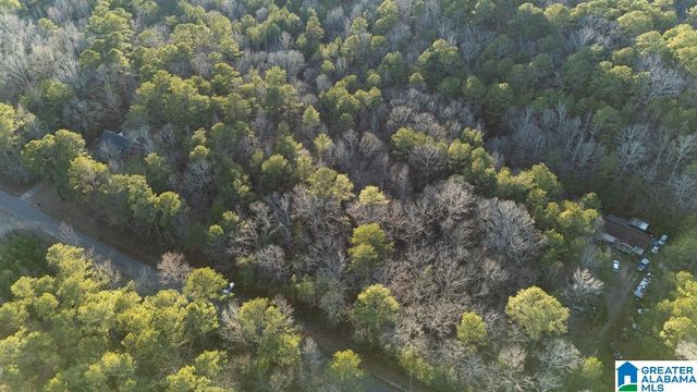 27 MOUNTAIN VIEW LANE, Vance, AL 35490