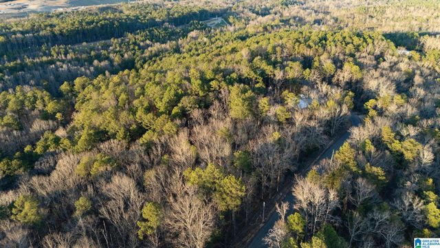 27 MOUNTAIN VIEW LANE, Vance, AL 35490