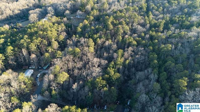 27 MOUNTAIN VIEW LANE, Vance, AL 35490