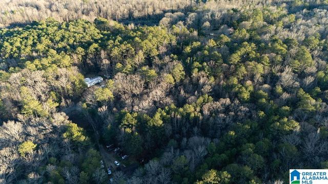 27 MOUNTAIN VIEW LANE, Vance, AL 35490