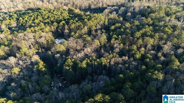 27 MOUNTAIN VIEW LANE, Vance, AL 35490