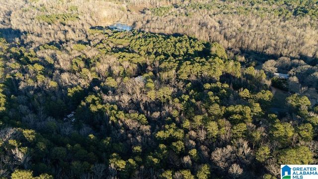 27 MOUNTAIN VIEW LANE, Vance, AL 35490