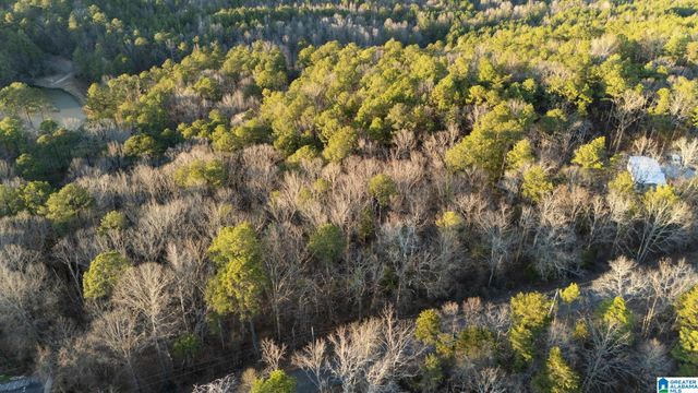 27 MOUNTAIN VIEW LANE, Vance, AL 35490