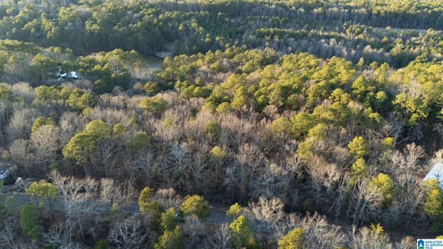 27 MOUNTAIN VIEW LANE, Vance, AL 35490