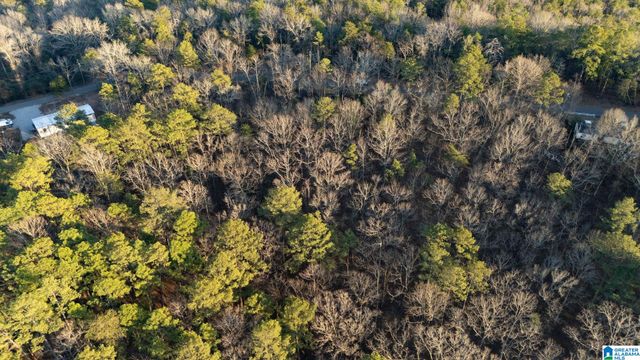 27 MOUNTAIN VIEW LANE, Vance, AL 35490