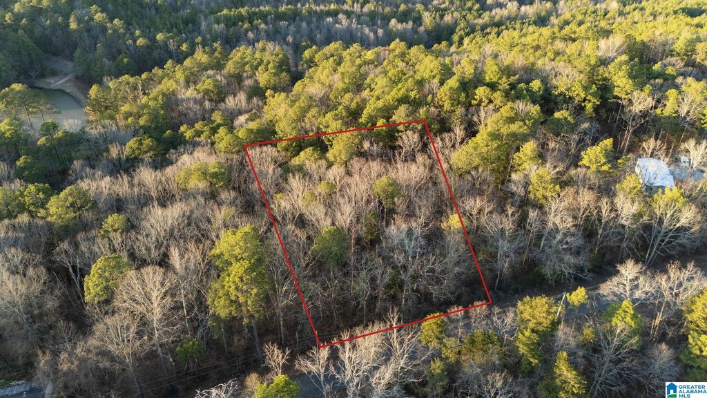 27 MOUNTAIN VIEW LANE, Vance, AL 35490