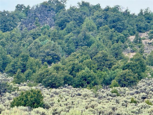 Lot 38 WildHorse Drive, San Luis, CO 81152