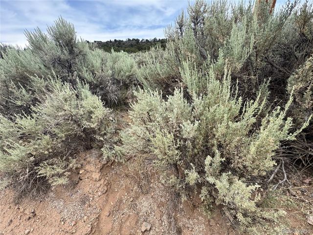 Lot 38 WildHorse Drive, San Luis, CO 81152