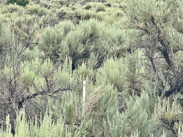 Lot 38 WildHorse Drive, San Luis, CO 81152
