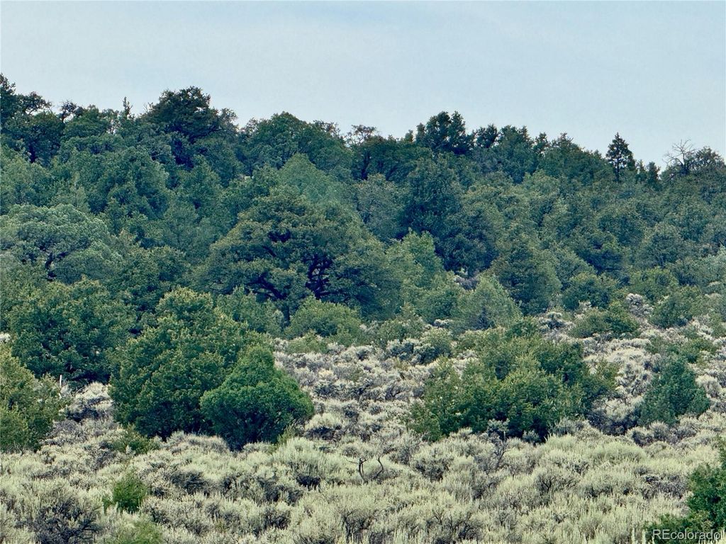 Lot 38 WildHorse Drive, San Luis, CO 81152
