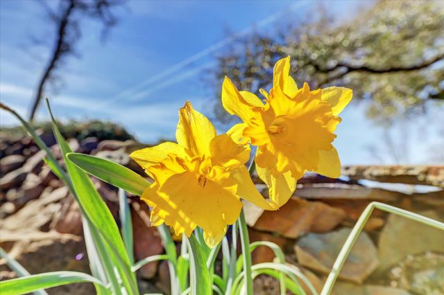 12353 Torrey Pines Dr, Auburn, CA 95602