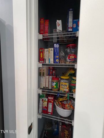 143 Patriot Crossing 143, Greeneville, TN 37745