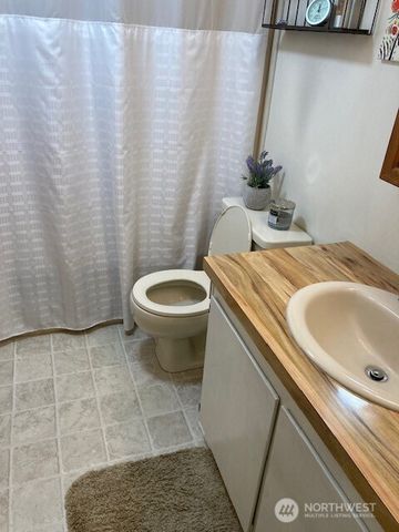 531 N Mountain View Drive, Hoodsport, WA 98548