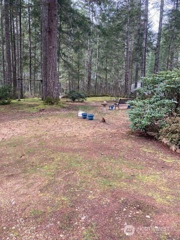 531 N Mountain View Drive, Hoodsport, WA 98548