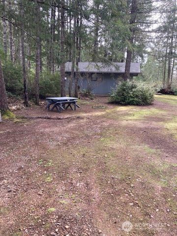 531 N Mountain View Drive, Hoodsport, WA 98548