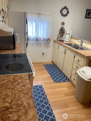 531 N Mountain View Drive, Hoodsport, WA 98548