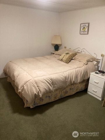 531 N Mountain View Drive, Hoodsport, WA 98548